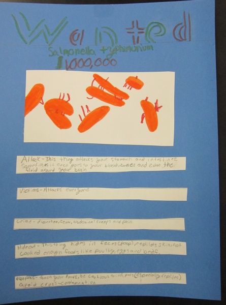 SchoolNotes 2.0