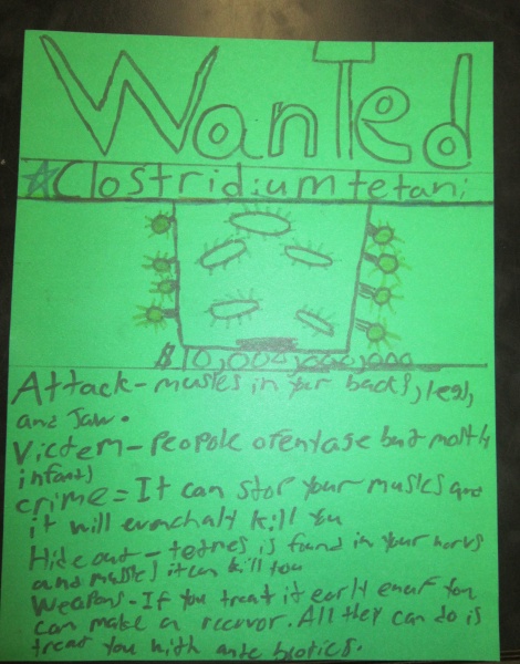 SchoolNotes 2.0